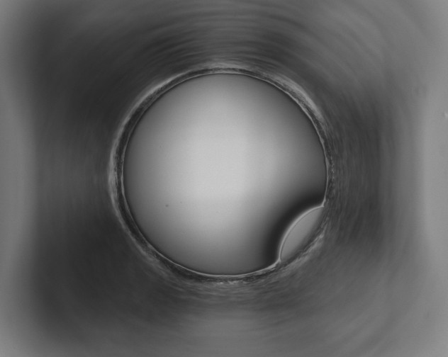 X0000102801133200808180927