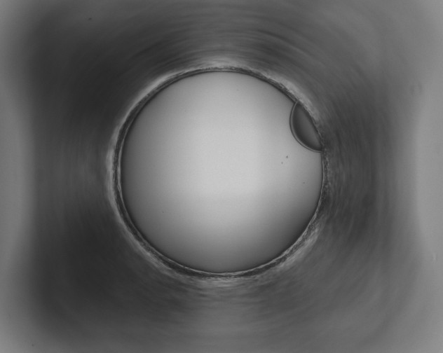 X0000102801134200808180927