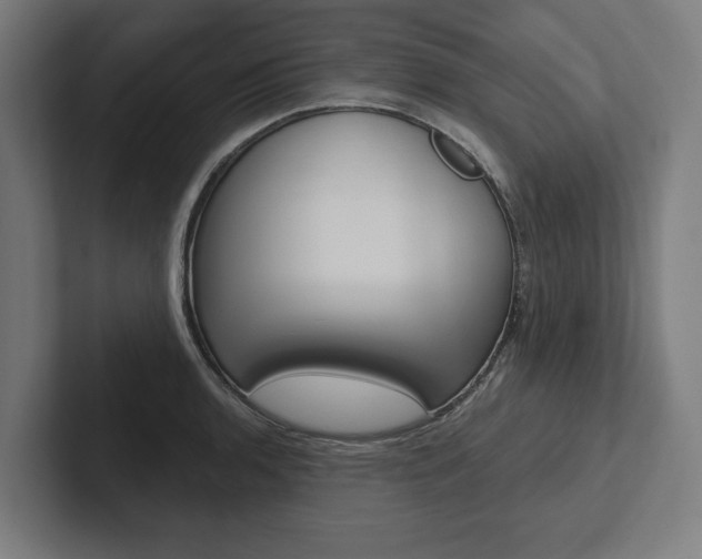X0000102801136200808180927