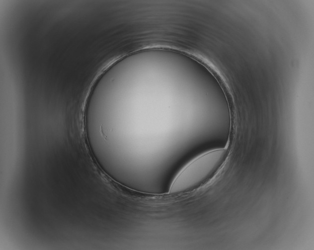 X0000102801145200808180927