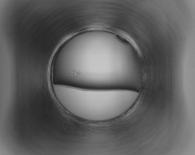 X0000102801146200808180927
