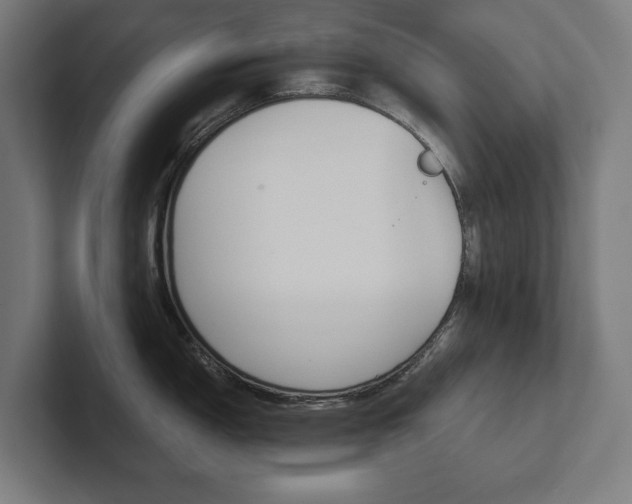 X0000102801150200808180927