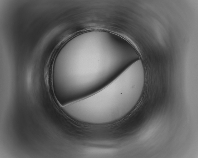 X0000102801151200808180927