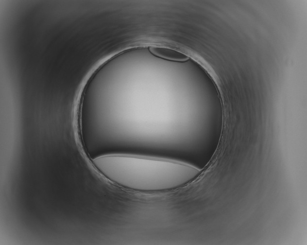 X0000102801152200808180927
