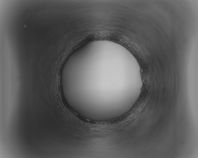 X0000102801153200808180927