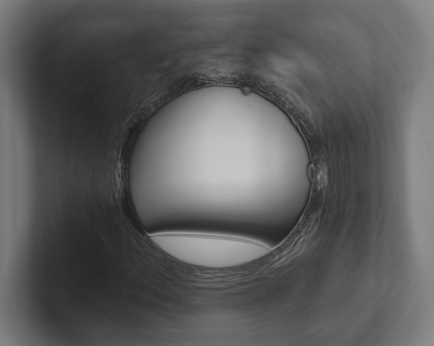X0000102801156200808180927