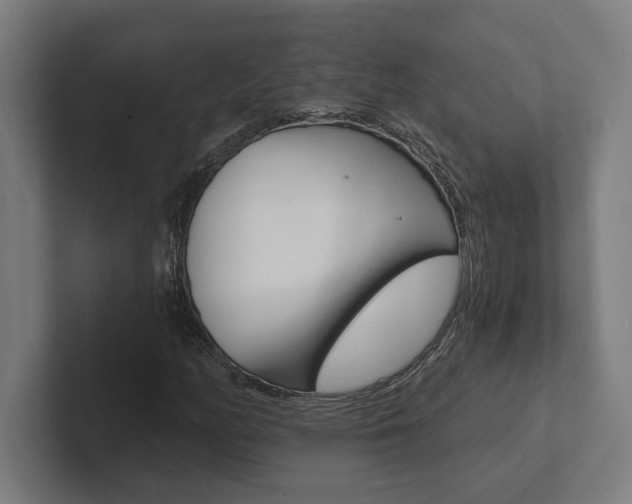 X0000102801158200808180927