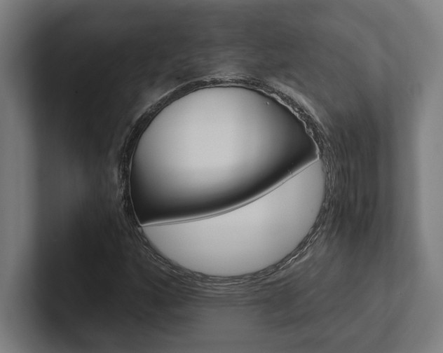 X0000102801160200808180927