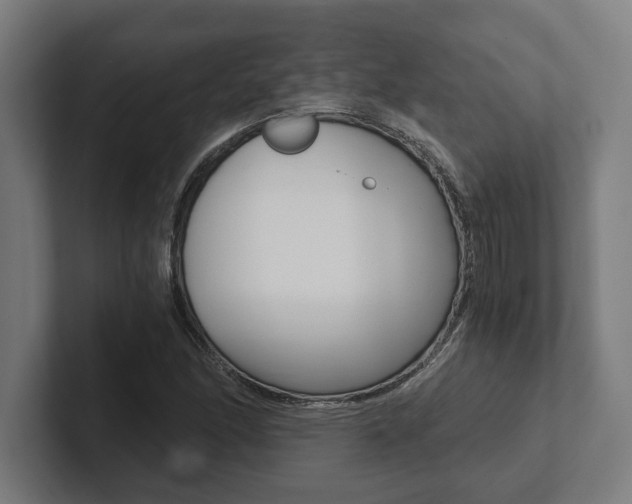 X0000102801166200808180927