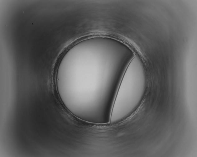 X0000102801168200808180926