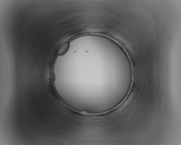 X0000102801169200808180926