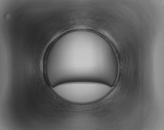 X0000102801173200808180926