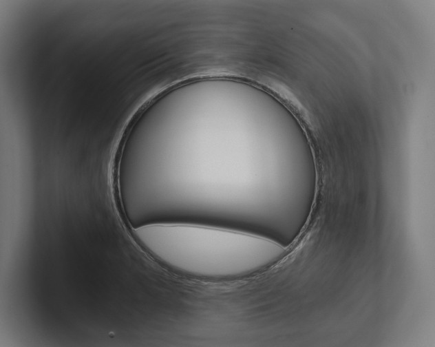 X0000102801181200808180926