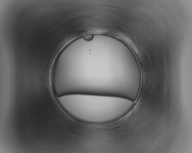 X0000102801186200808180926