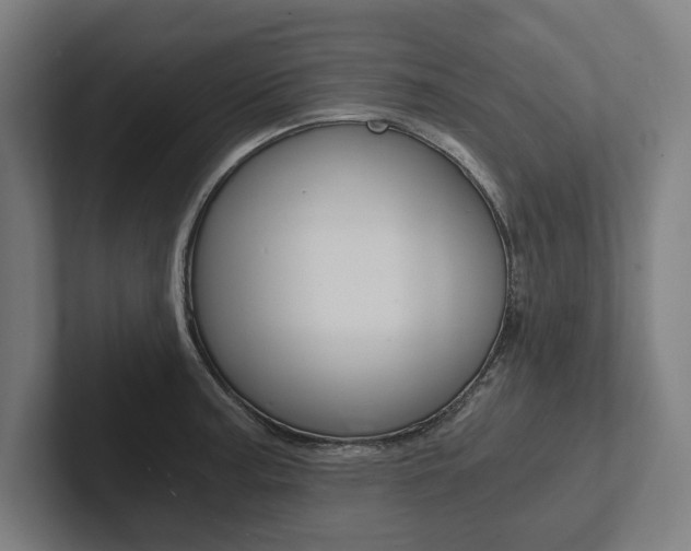 X0000102801187200808180926