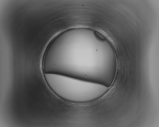 X0000102801189200808180926