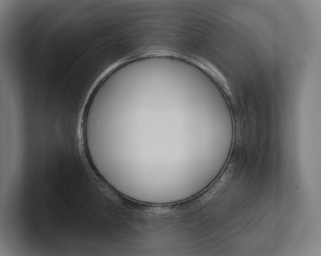 X0000102801190200808180926