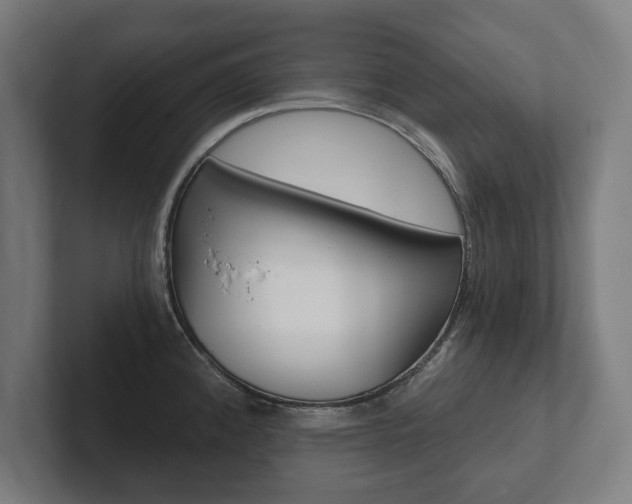 X0000102801192200808180926