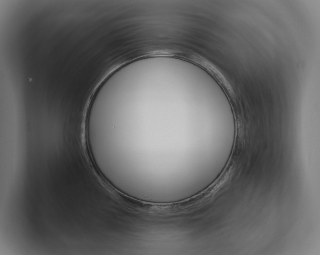 X0000102801194200808180926
