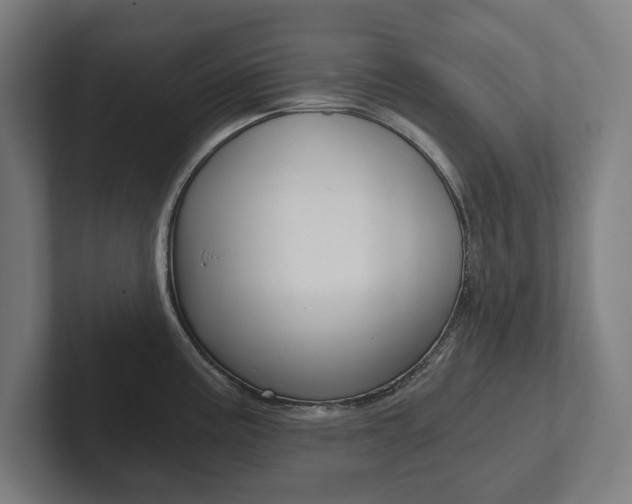 X0000102801195200808180926