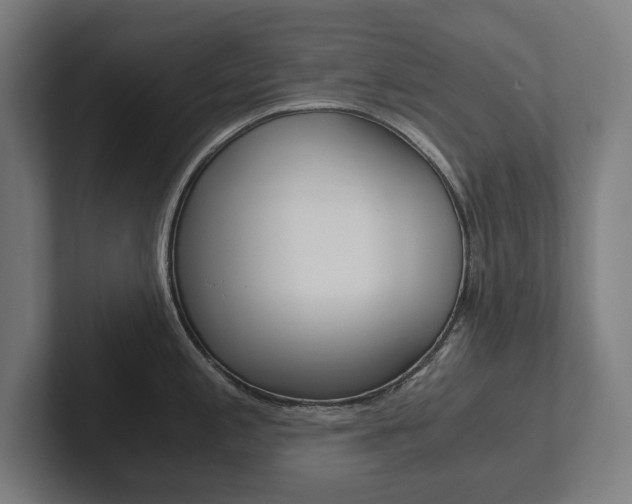 X0000102801197200808180926