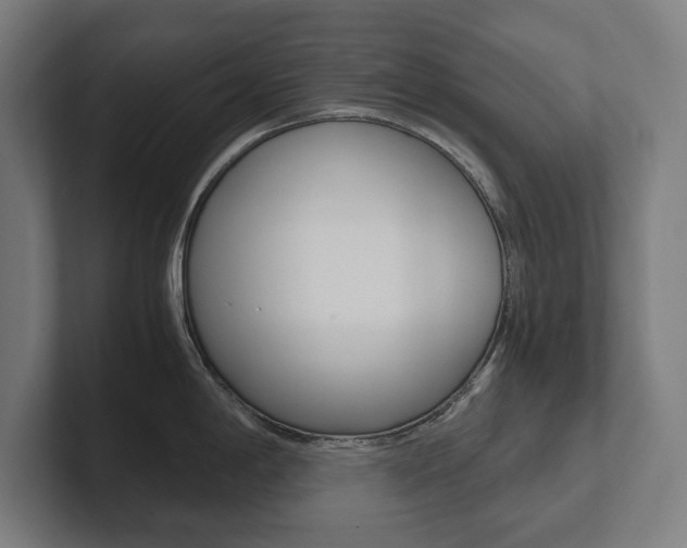 X0000102801198200808180926