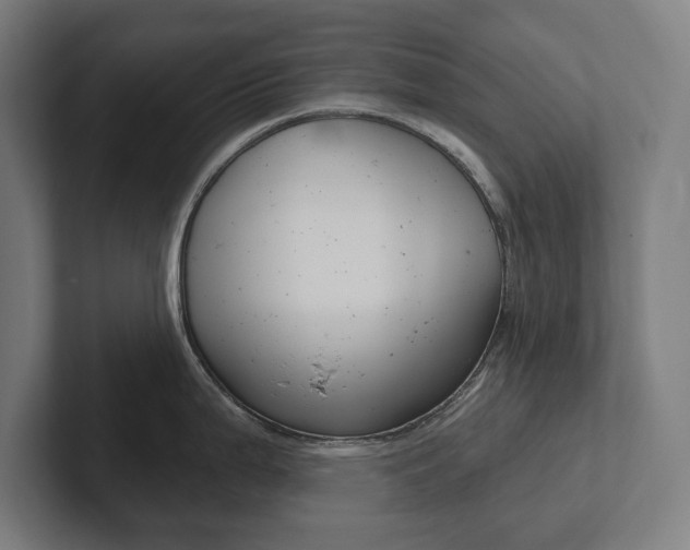 X0000102801199200808180926