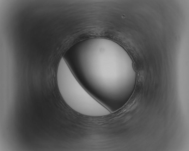 X0000102801202200808180925