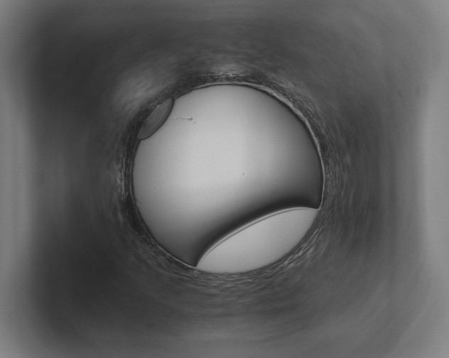 X0000102801205200808180925