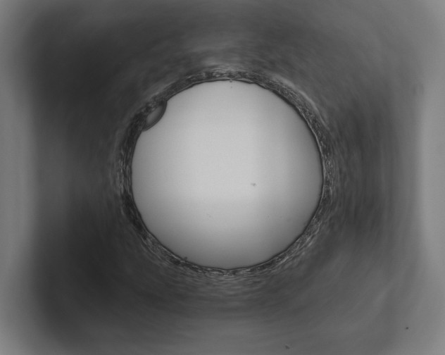 X0000102801207200808180926