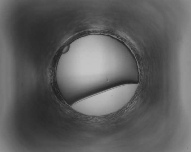 X0000102801208200808180926