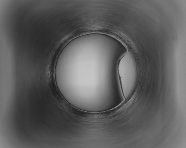 X0000102801210200808180926