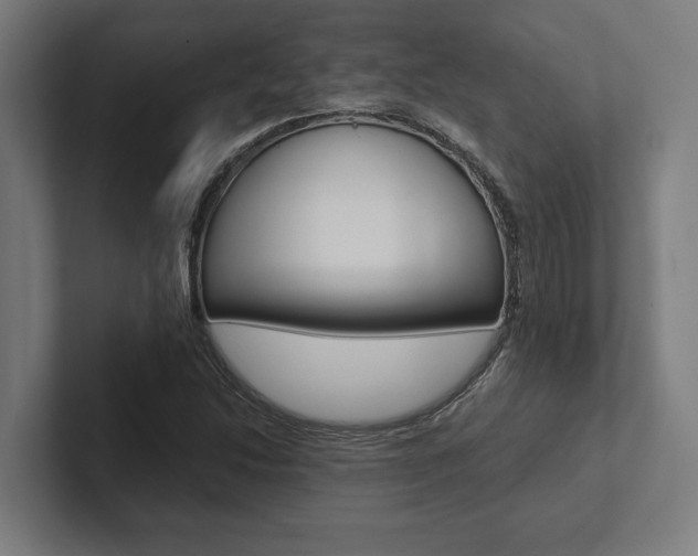 X0000102801214200808180926