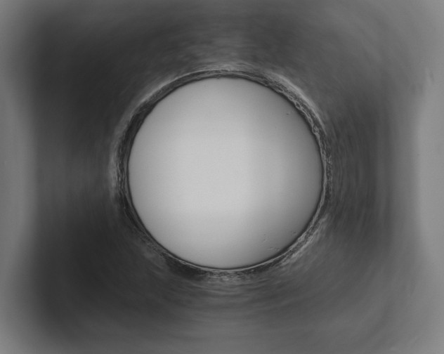 X0000102801215200808180926