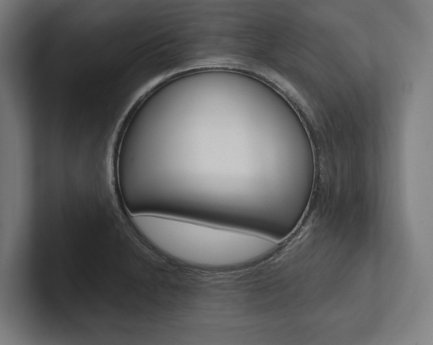 X0000102801230200808180926