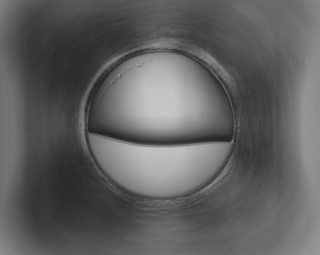 X0000102801232200808180926