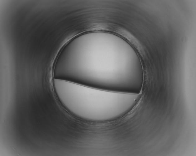 X0000102801234200808180926