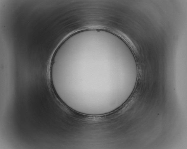 X0000102801236200808180926