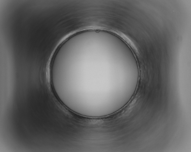 X0000102801238200808180926