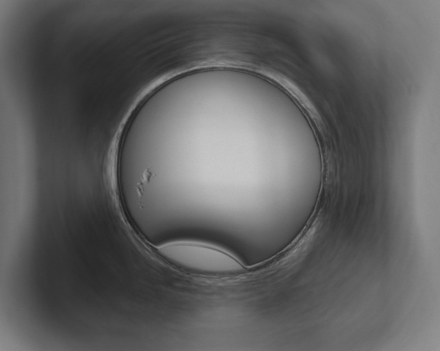 X0000102801246200808180926