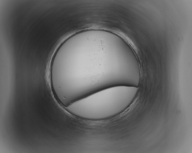 X0000102801247200808180926