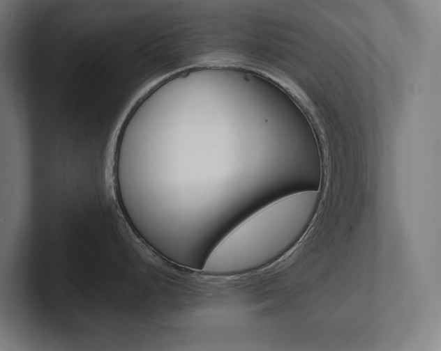 X0000102801248200808180926