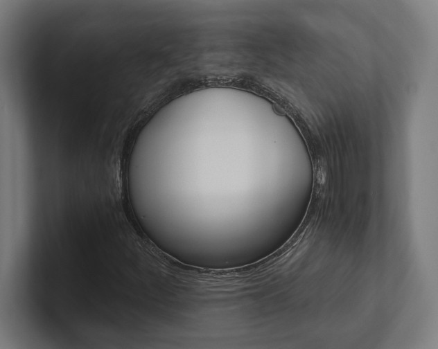 X0000102801252200808180925
