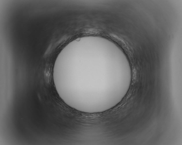 X0000102801254200808180925