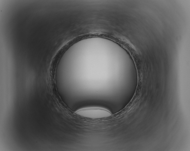 X0000102801256200808180925