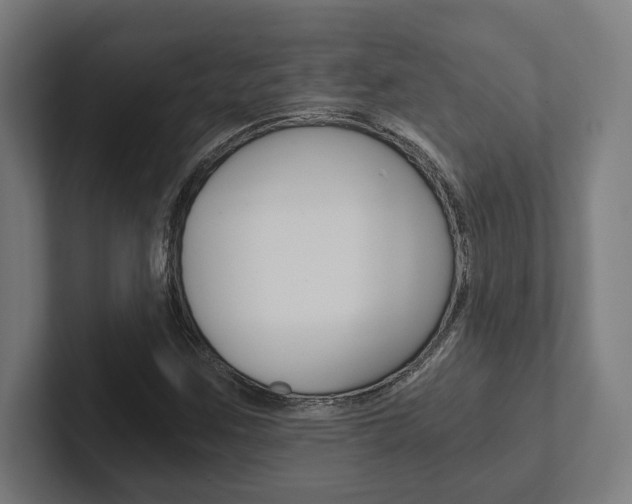 X0000102801259200808180925