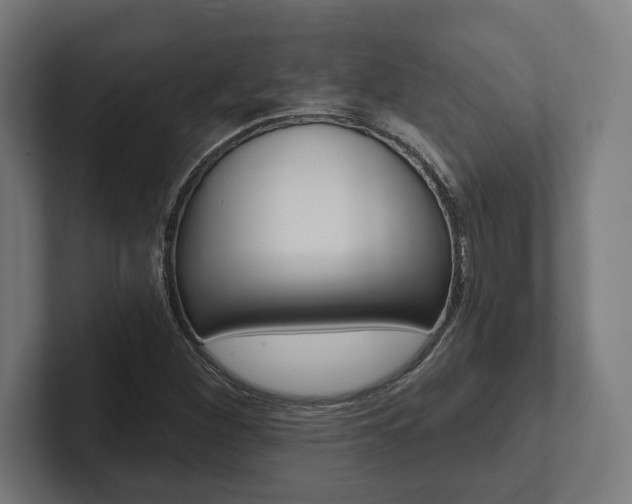X0000102801260200808180925