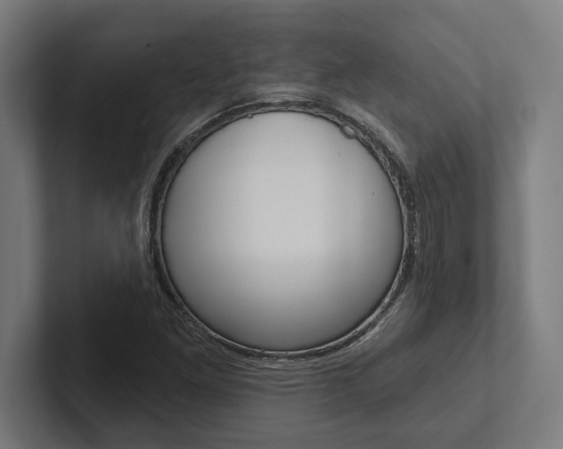 X0000102801261200808180925