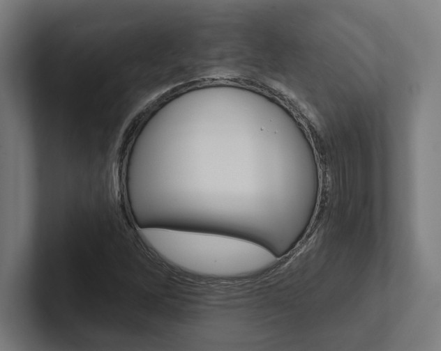 X0000102801262200808180925