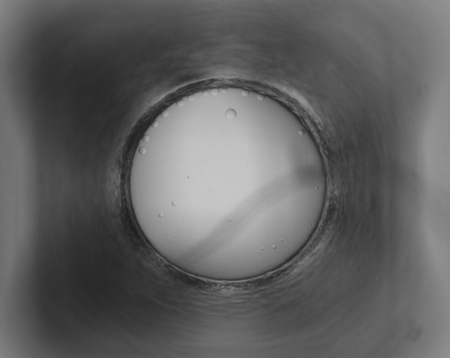 X0000102801263200808180925